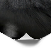 Majestic Arctic Wolf Portrait in High Contrast Bla Perfect Poster (Hoek)