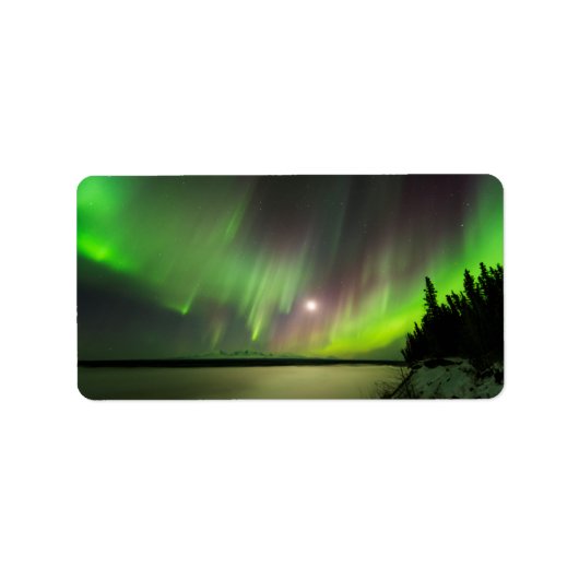 Majestic Aurora Etiket (Voorkant)