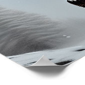 Majestic Bald Eagle Art Poster (Hoek)