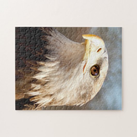 Majestic Bald Eagle Legpuzzel (Horizontaal)