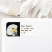 Majestic Bald Eagle Portret Etiket (Insitu)