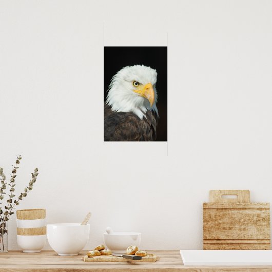Majestic Bald Eagle Portret Poster (Keuken)