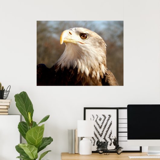 Majestic Bald Eagle Poster (Thuiskantoor)