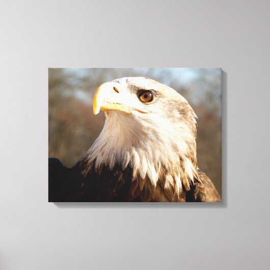 Majestic Bald Eagle Profiel Canvas Afdruk (Voorkant)