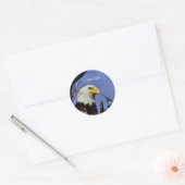 Majestic Bald Eagle Ronde Sticker (Envelop)