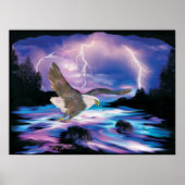Majestic Bald Eagle Soaring Poster (Voorkant)