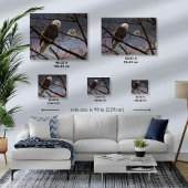 Majestic Bald Eagle Volle Maan - Wildlife Art Canvas Afdruk
