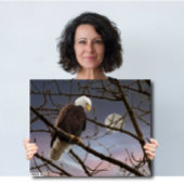 Majestic Bald Eagle Volle Maan - Wildlife Art Canvas Afdruk
