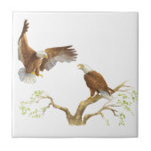 Majestic Bald Eagles Tegeltje (Voorkant)