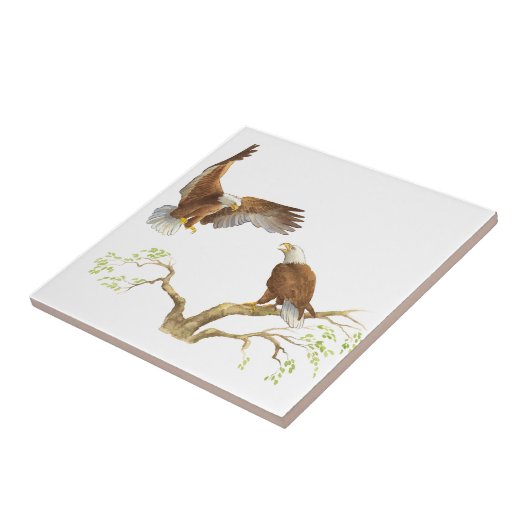 Majestic Bald Eagles Tegeltje (Zijkant)