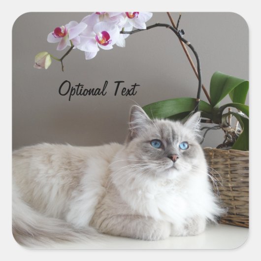 Majestic Balinese Cat Vierkante Sticker (Voorkant)
