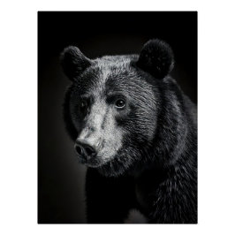Majestic Bear Portrait - Black and White Wildlife Perfect Poster