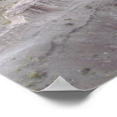 Majestic Beauty van de gefinteerde woestijn Poster (Hoek)