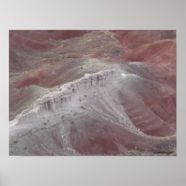 Majestic Beauty van de gefinteerde woestijn Poster