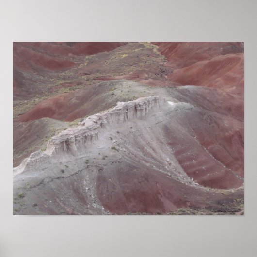 Majestic Beauty van de gefinteerde woestijn Poster (Voorkant)