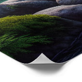 Majestic Beer Catch Poster (Hoek)