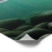 Majestic Beer Catch Poster (Hoek)