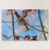 Majestic Bird, Canadian Bohemian Waxwing Legpuzzel (Horizontaal)