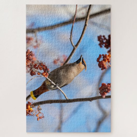 Majestic Bird, Canadian Bohemian Waxwing Legpuzzel (Verticaal)