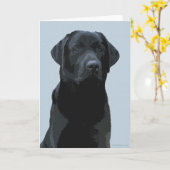 Majestic - Black Dog Art - Black Labrador Kaart (Gele Bloem)