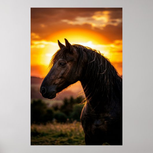 Majestic Black Horse Sunset Poster | Elegant Weste (Voorkant)