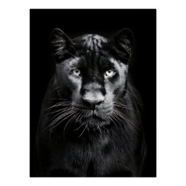 Majestic Black Panther Portrait Perfect Poster