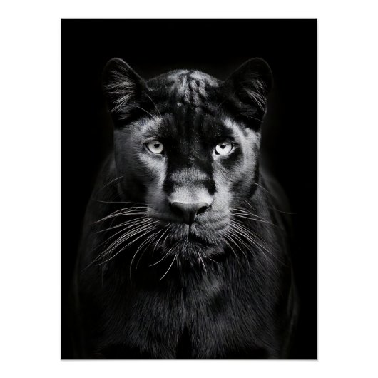 Majestic Black Panther Portrait Perfect Poster (Voorkant)