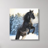 Majestic Black Stallion in Winter Snow  Canvas Afdruk (Voorkant)