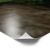 Majestic Blossom Canopy Garden Path Foto Afdruk (Hoek)