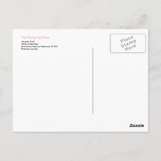 "Majestic Buck"-Briefkaart Briefkaart (Achterkant)