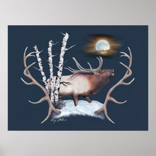 Majestic Bull Elk bugling in het maanlicht Poster (Voorkant)