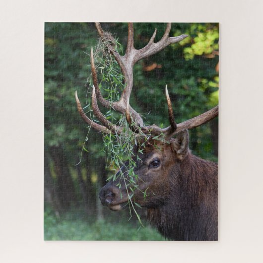 Majestic Bull Elk die voor de Koeien weggaat Legpuzzel (Verticaal)