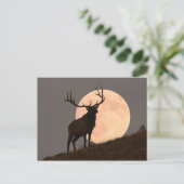Majestic Bull Elk en Full Moon Rise Briefkaart (Staand voorkant)