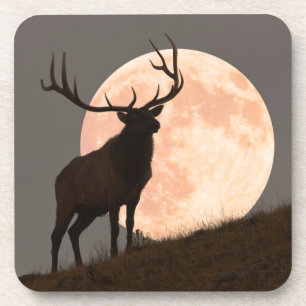 Majestic Bull Elk en Full Moon Rise Drankjes Onderzetter