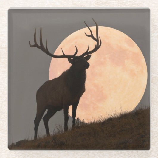 Majestic Bull Elk en Full Moon Rise Glazen Onderzetter (Voorkant)