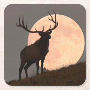 Majestic Bull Elk en Full Moon Rise Kartonnen Onderzetters