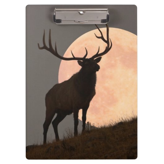 Majestic Bull Elk en Full Moon Rise Klembord (Voorkant)