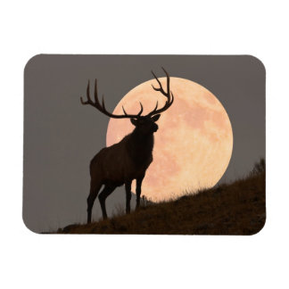 Majestic Bull Elk en Full Moon Rise Magneet