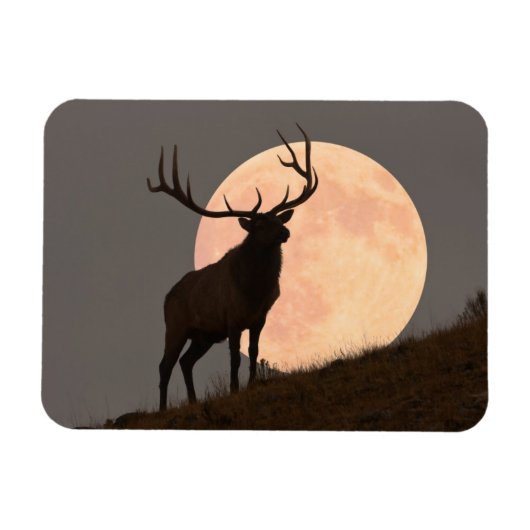 Majestic Bull Elk en Full Moon Rise Magneet (Horizontaal)