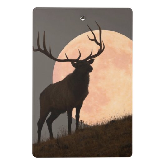 Majestic Bull Elk en Full Moon Rise Mini Klembord (Achterkant)