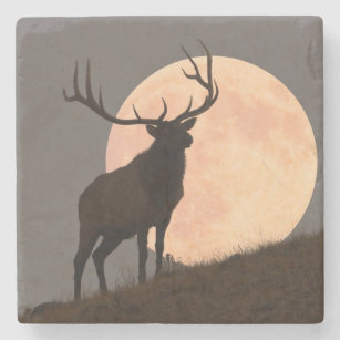 Majestic Bull Elk en Full Moon Rise Stenen Onderzetter