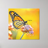 Majestic Butterfly Close Up Design Canvas Afdruk (Voorkant)
