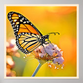 Majestic Butterfly Close Up Design Poster (Voorkant)