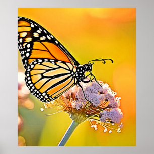 Majestic Butterfly Close Up Design Poster