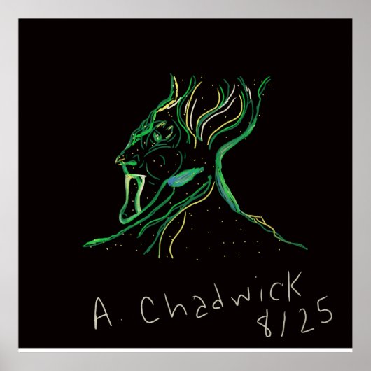 Majestic Constellation Poster (Voorkant)