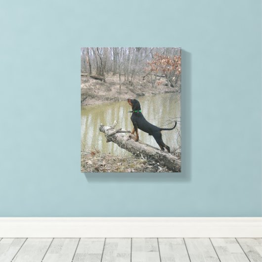 Majestic Coon Hound op het Canvas (Insitu (Houten vloer))