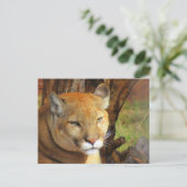 Majestic Cougar Briefkaart (Staand voorkant)