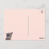 Majestic Cougar Briefkaart (Achterkant)