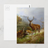 Majestic Deer ~ Briefkaart (Voorkant / Achterkant)