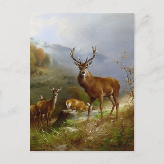Majestic Deer ~ Briefkaart (Voorkant)